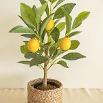 Five Senses Sea View Apartmán Portimão