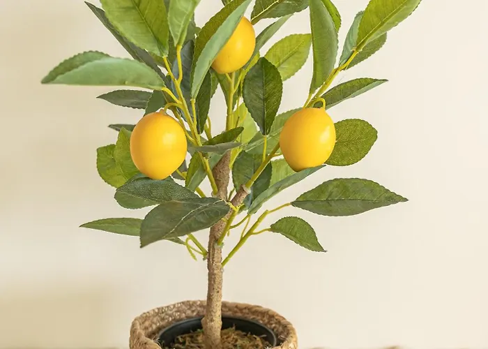 Five Senses Sea View Apartment Portimão